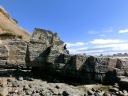 catlins (24)